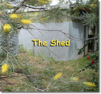 The Shed, rainwater tank and grevillea blossoms
